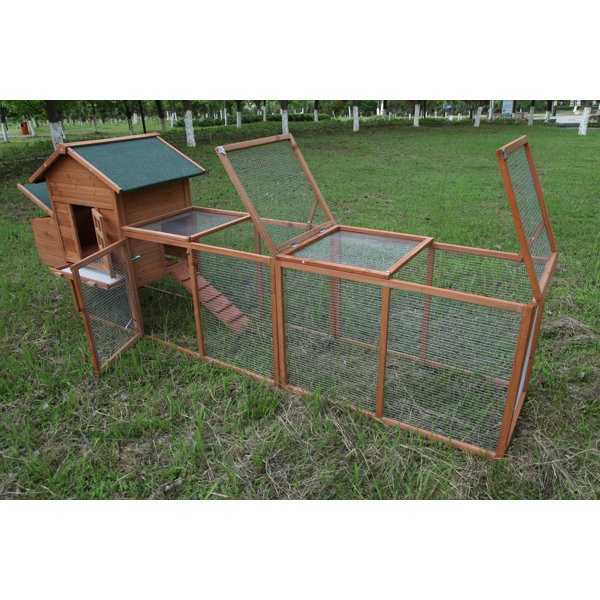 Tucker Murphy Pet™ Hanish 18.33 Square Feet Chicken Coop with Chicken